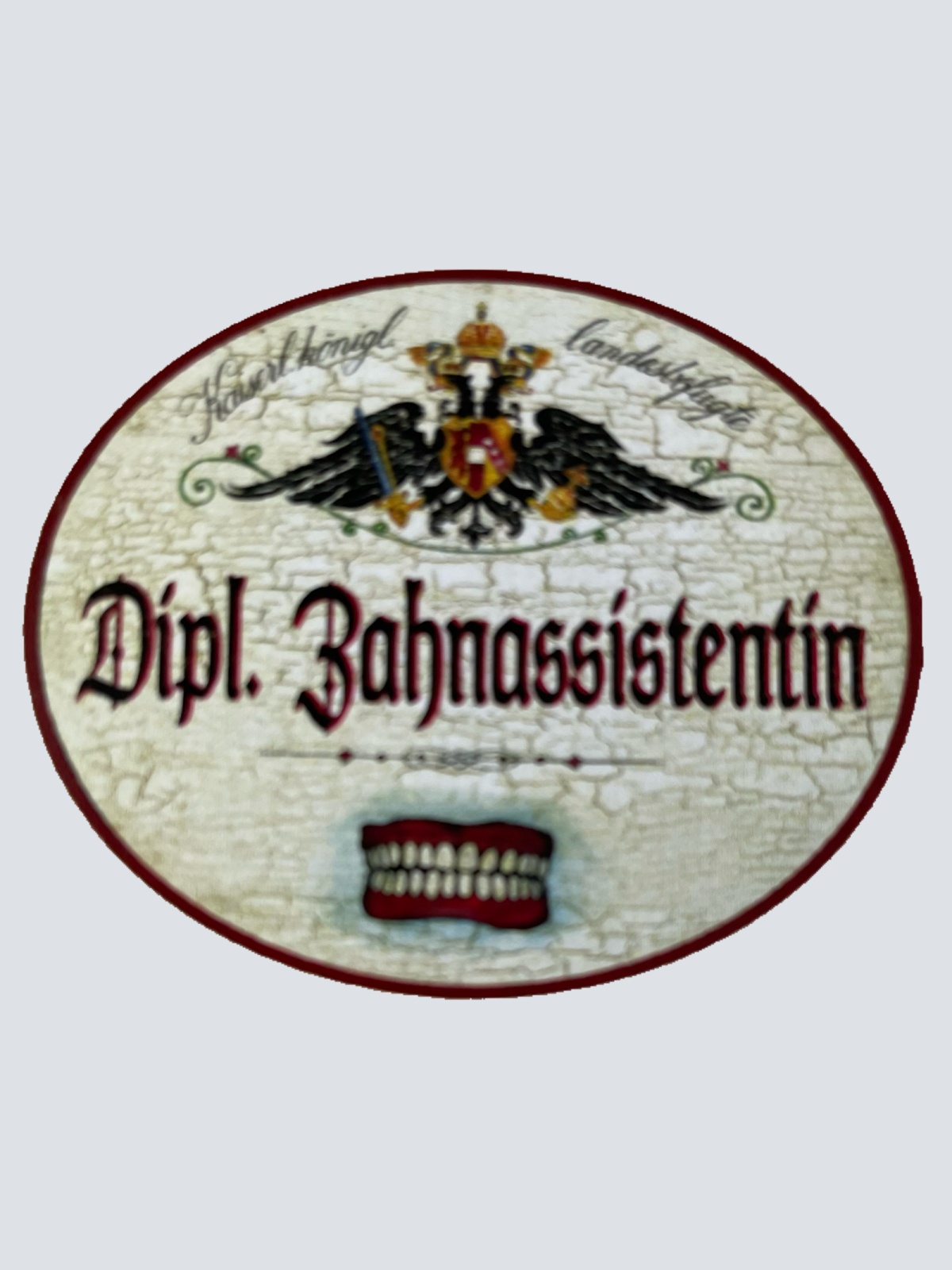 KuK Nostalgie Holzschild Landesbefugte Dipl. Zahnassistentin Zahnarzt Schild