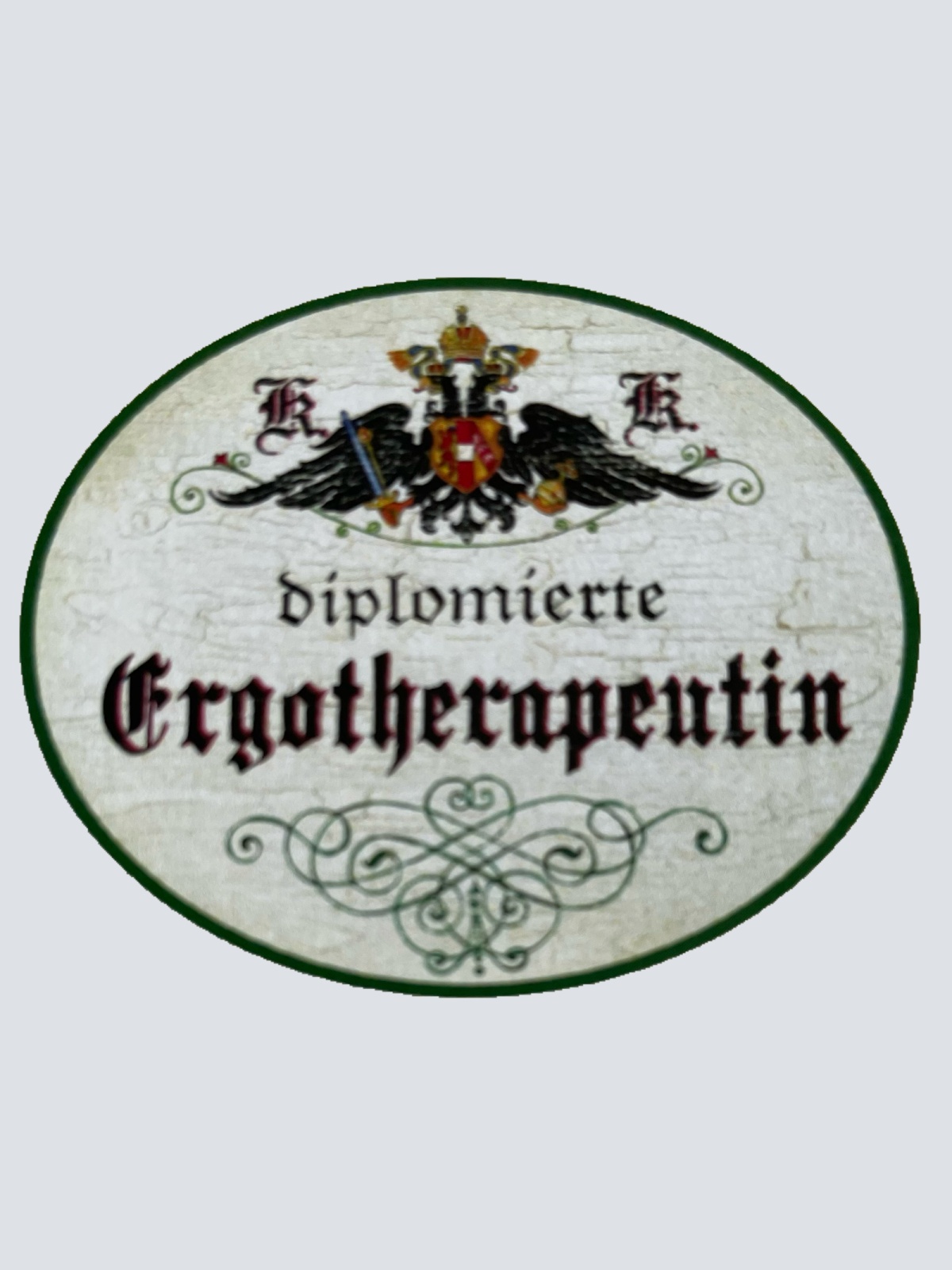 KuK Nostalgie Holzschild Diplomierte Ergotherapeutin Ergotherapie Schild