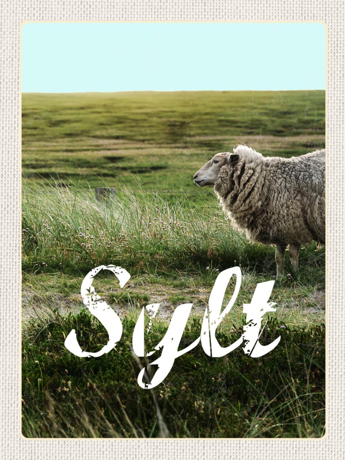 Schild Sylt Insel Schaf Weide Küste Ostfriesland D 12x18 20x30 30x40 Blech/Holz