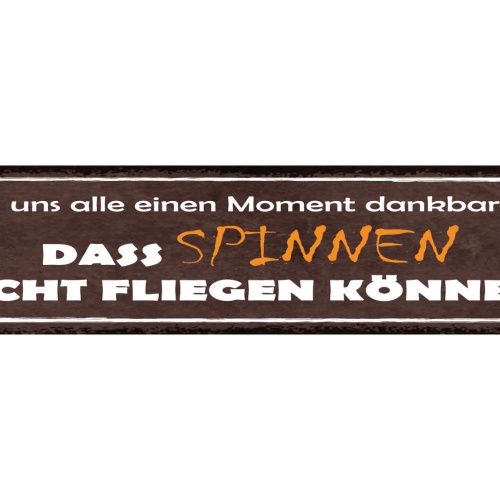 Schild Lasst Uns Alle Einen Moment Dankbar Sein Das Spinnen Nicht Fliegen Können