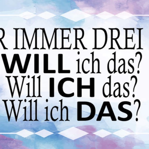 Schild Stell Dir Immer Drei Fragen Will Ich Das Wollen 27x10 Blech od.Holz