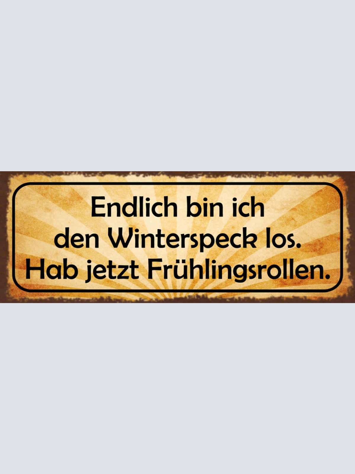 Schild Endlich Bin Ich Den Winterspeck Los Hab Jetzt Frühlingsrollen 27x10