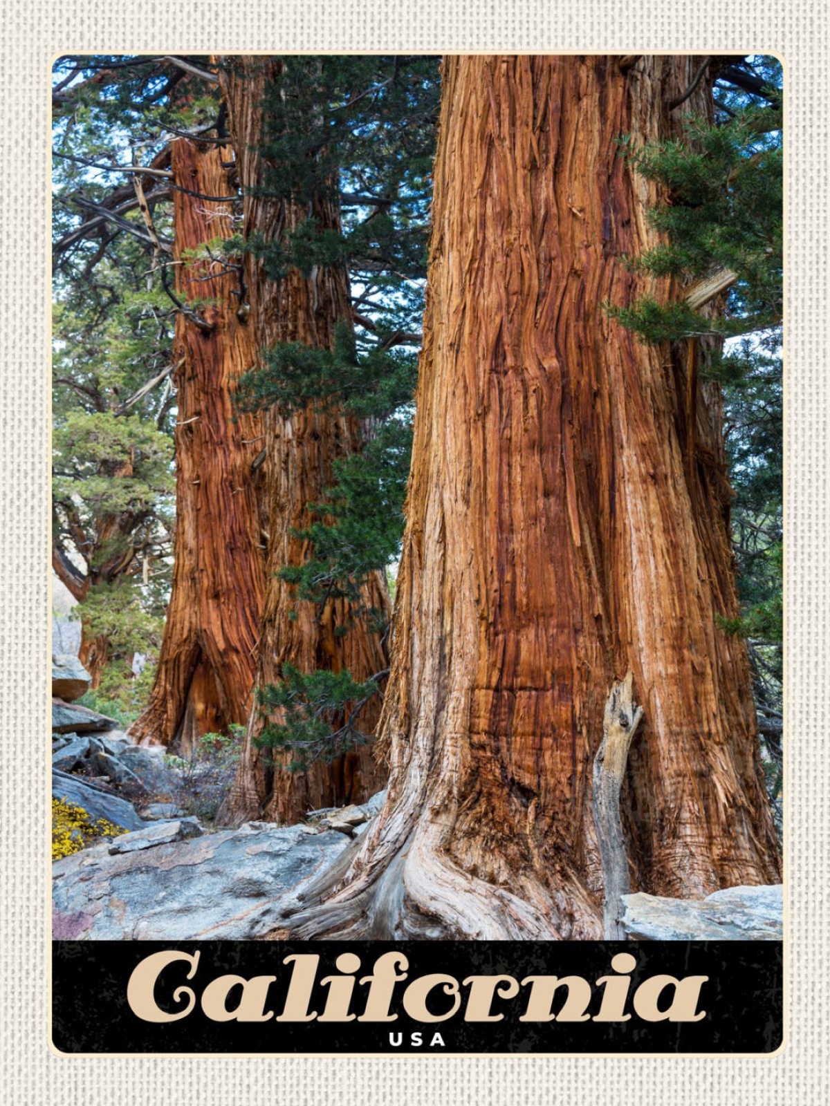 Schild California Kalifornien USA Sequoia Park 12x18 20x30 30x40 Blech/Holz