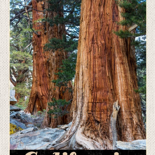 Schild California Kalifornien USA Sequoia Park 12x18 20x30 30x40 Blech/Holz