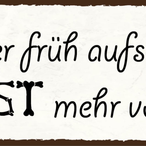 Schild Wer Früh Aufsteht Hasst Mehr Vom Tag Morgen Aufwachen 27x10 Blech od.Holz