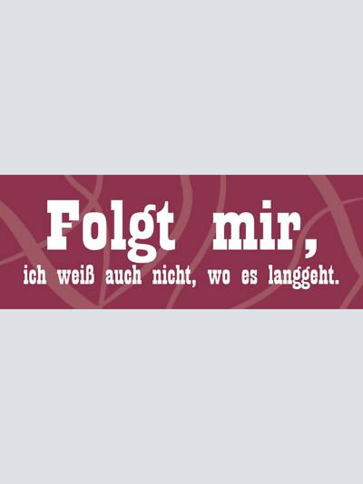Schild folgt mir ich weiss auch nicht wo es langgeht 27 x 10 blech od. holz