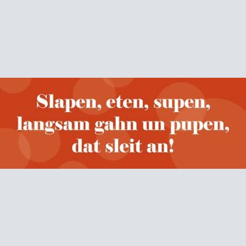 Schild slapen eten supen langsam gahn un pupen dat sleit an 27x10 blech od.holz