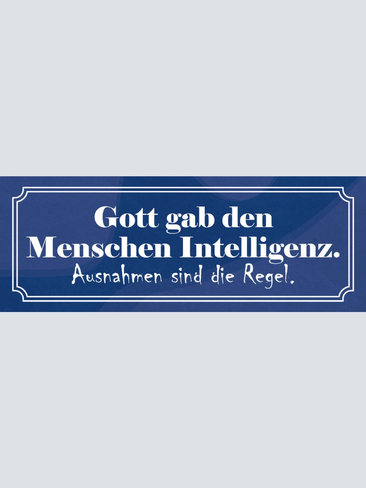 Schild Gott Gab Den Menschen Intellegenz Ausnahmen Sind Die Regel 27 x 10