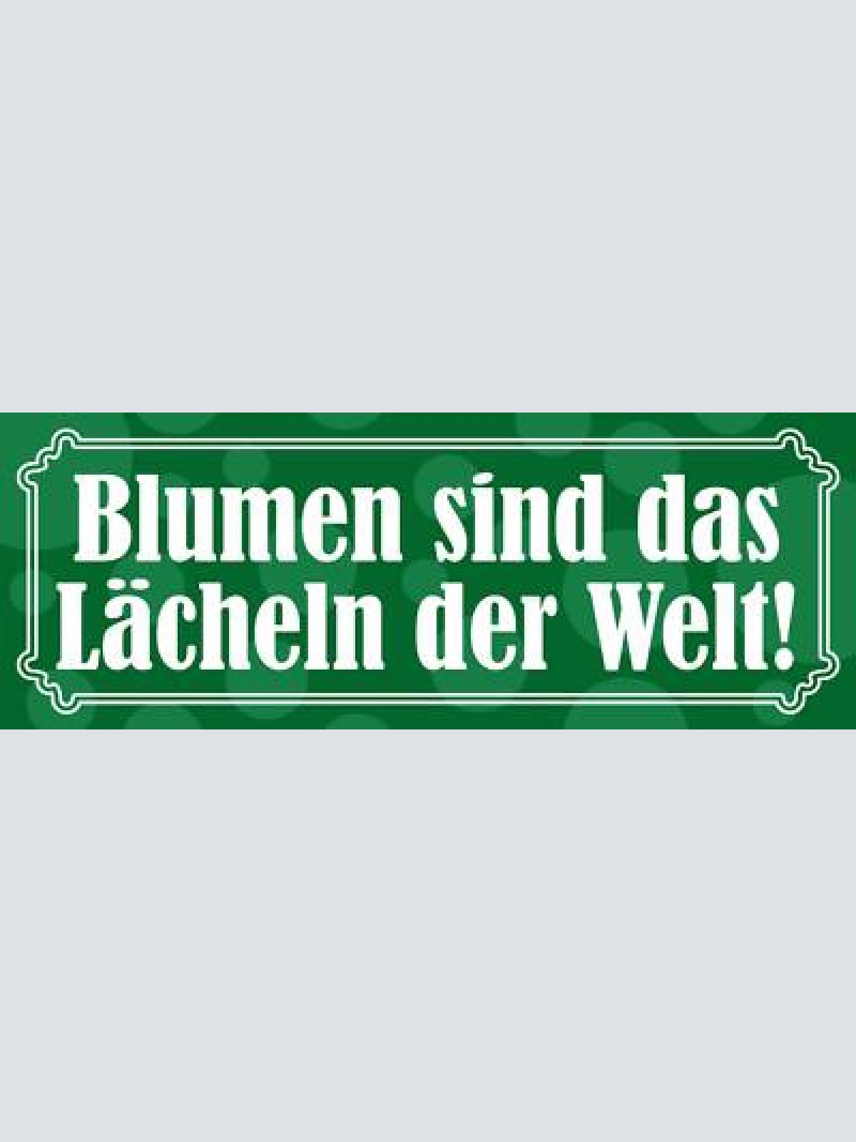 Schild blumen sind das lächeln der welt strauß garten park 27x10 blech od.holz