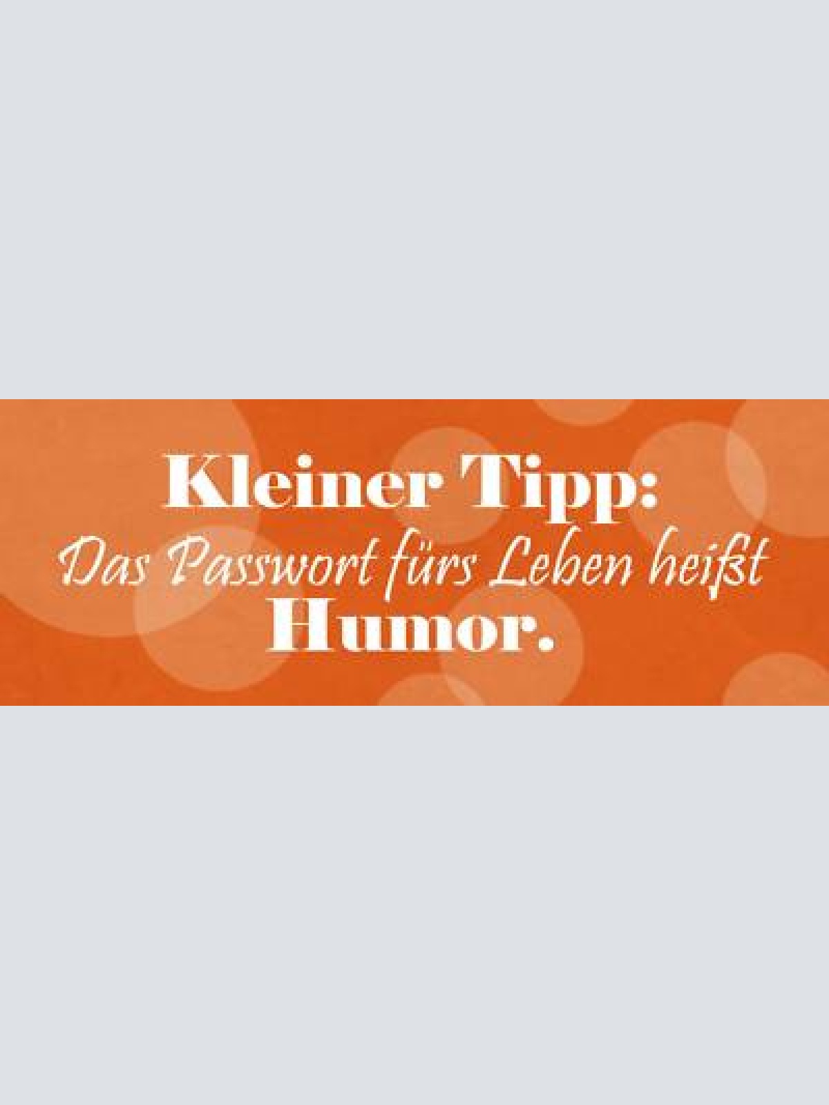 Schild kleiner tipp das passwort fürs leben heißt humor 27 x 10 blech od. holz
