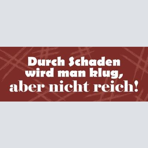 Schild durch schaden wird man klug aber nicht reich arm 27 x 10 blech od. holz