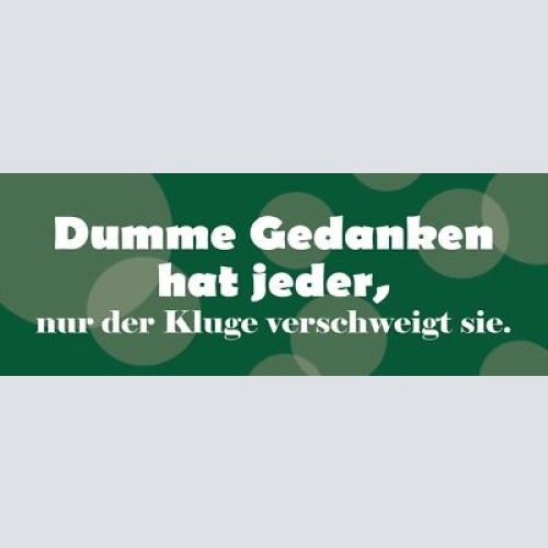 Schild dumme gedanken hat jeder nur der kluge verschweigt sie 27 x 10