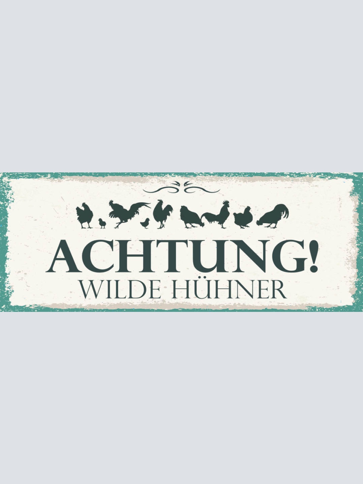 Schild Achtung Wilde Hühner Huhn Hendl Hahn Ei Vorsicht 27x10 Blech od.Holz
