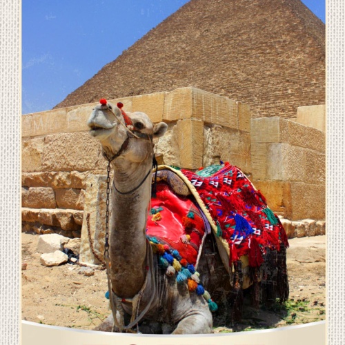 Schild Egypt Ägypten Kamel Cheops Pyramide Afrika 12x18 20x30 30x40 Blech/Holz