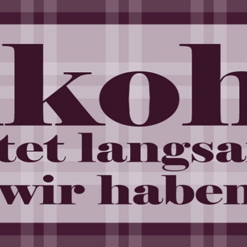 Schild Alkohol Tötet Langsam Aber Wir Haben Zeit Trinken 27 x 10 Blech od. Holz