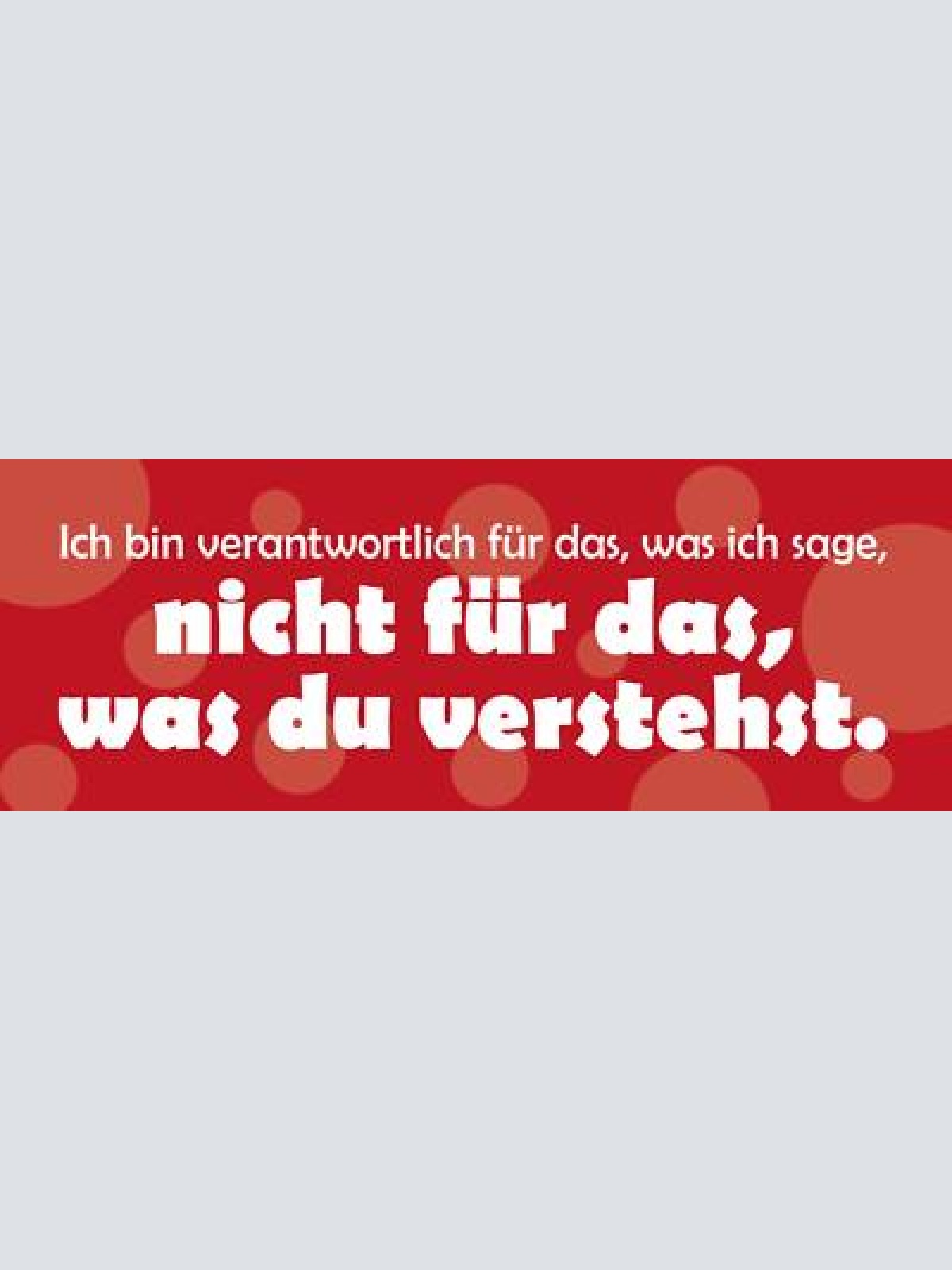 Schild ich bin verantwortlich für was ich sage nicht für was du verstehst 27x10