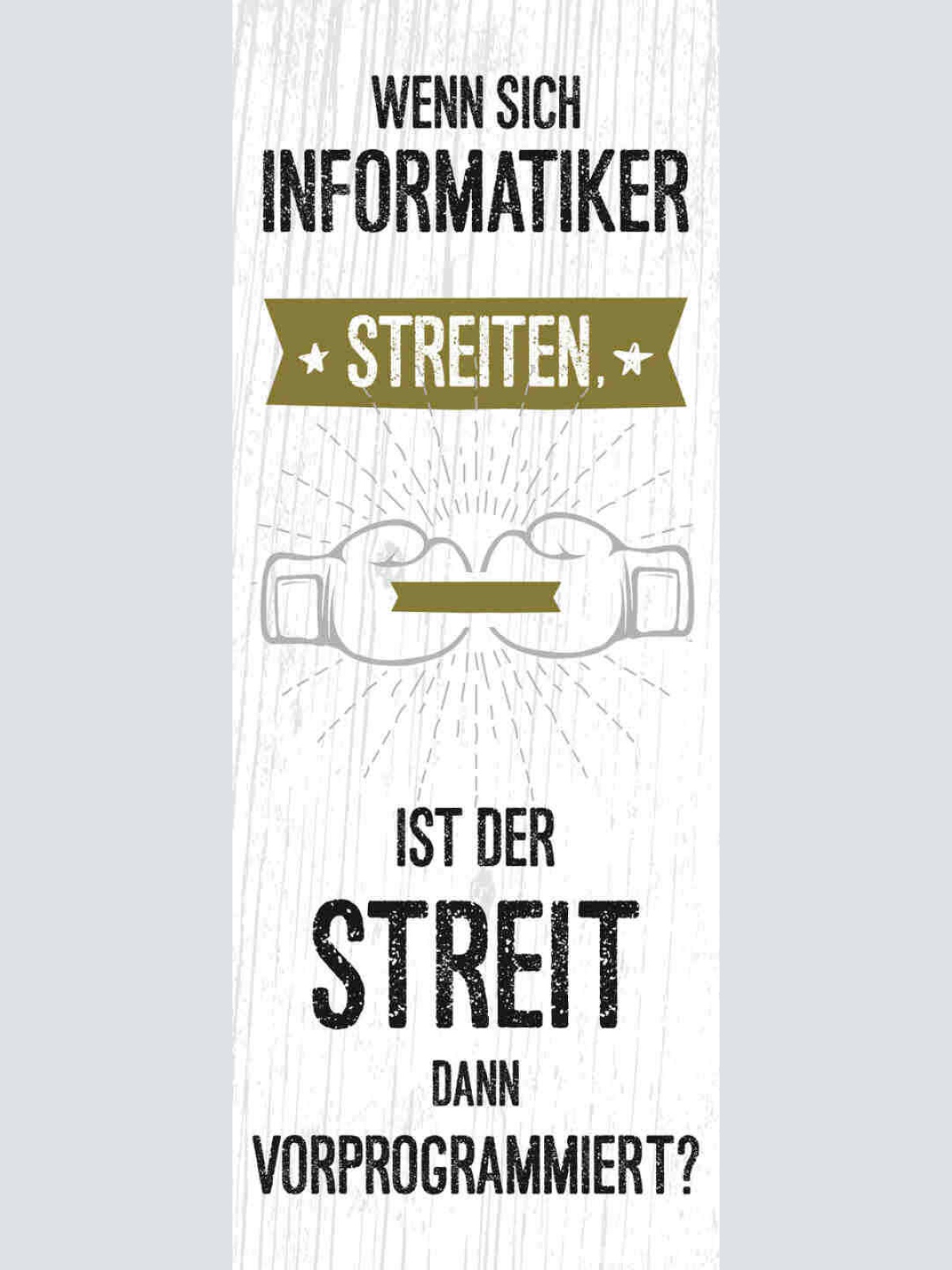 Schild Wenn Sich Informatiker Streiten Ist Der Streit Dann Vorprogrammiert 27x10