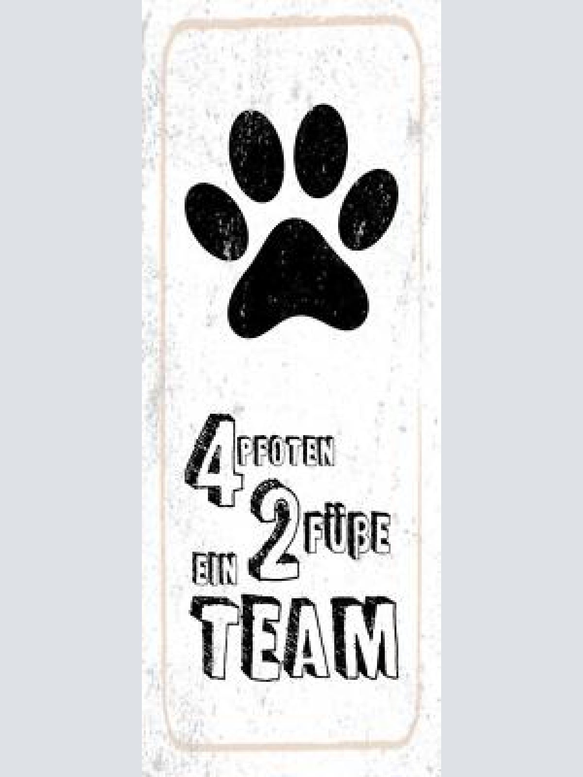 Schild 4 pfoten 2 füße ein team katze hund haus tier mensch 27x10 blech od.holz