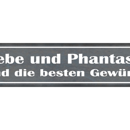 Schild Liebe Phantasie Gewürze Küche Kochen Ehe Beziehung 46 x 10 Blech od. Holz