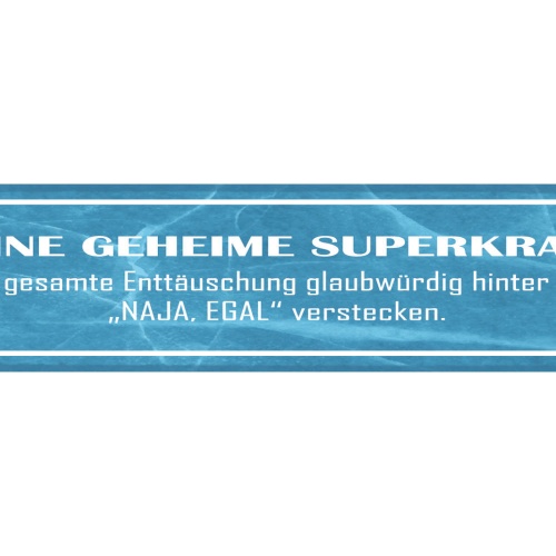 Schild Geheime Superpower Enttäuschung Glaubwürdig Egal 46 x 10 Blech od. Holz