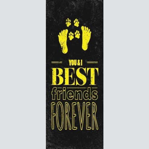 Schild you & i best friends forever beste freunde hund katze 27x10 blech od.holz