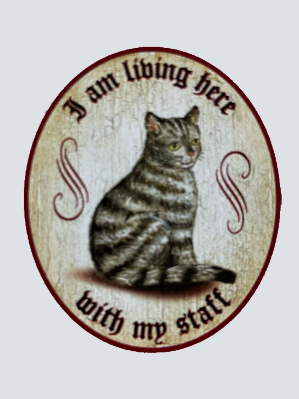 Nostalgie Holz Schild We Are Living Here With Our Staff Katzen Katze Personal