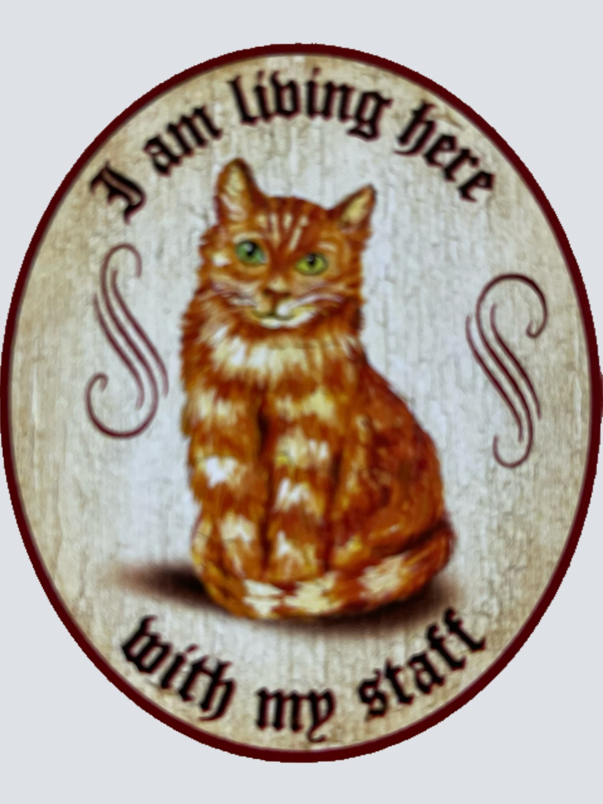 Nostalgie Holz Schild We Are Living Here With Our Staff Katzen Katze Personal