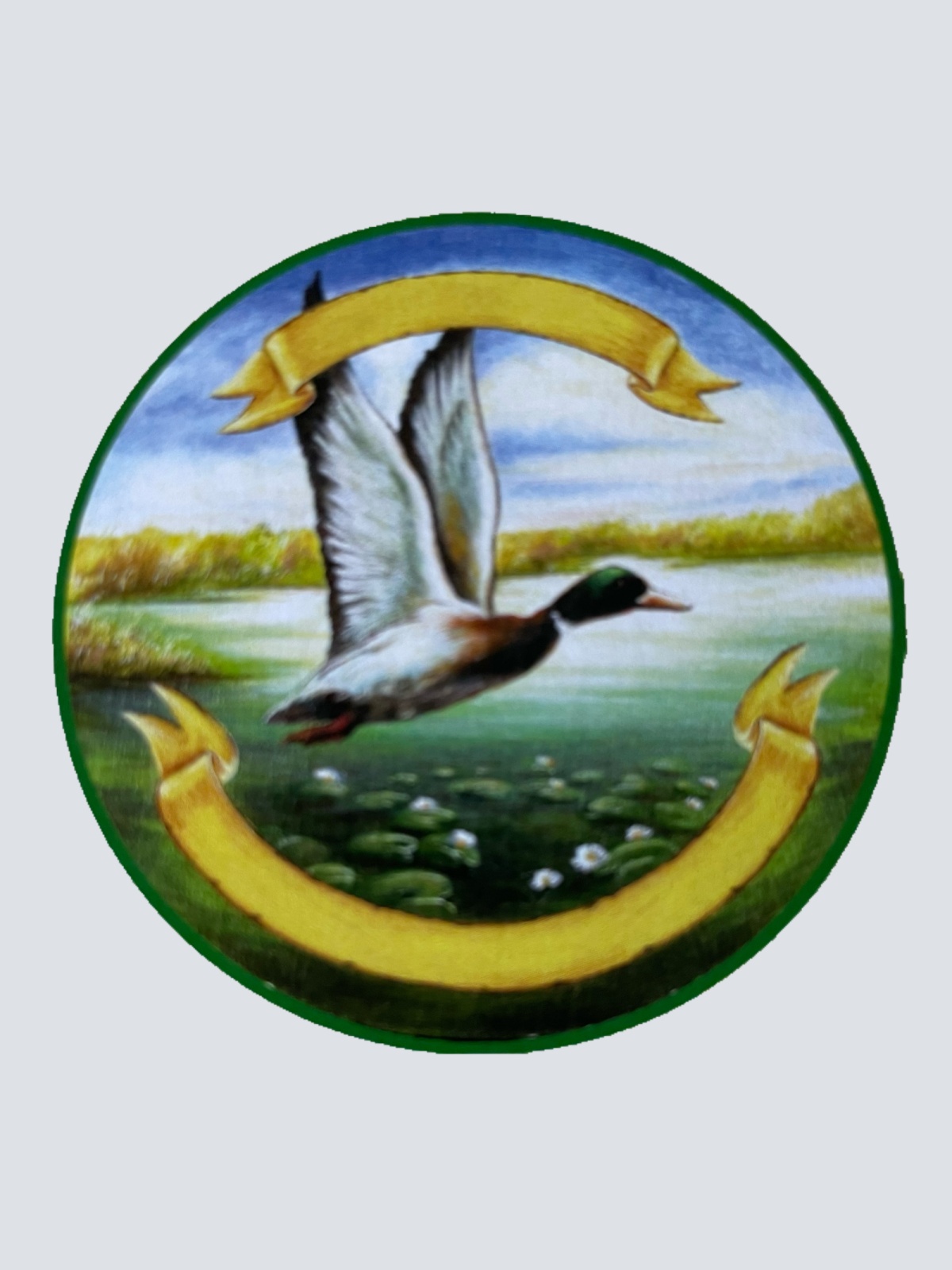 Nostalgie Holzschild Schützenscheibe Ente Vogel Jagd Jäger Schild