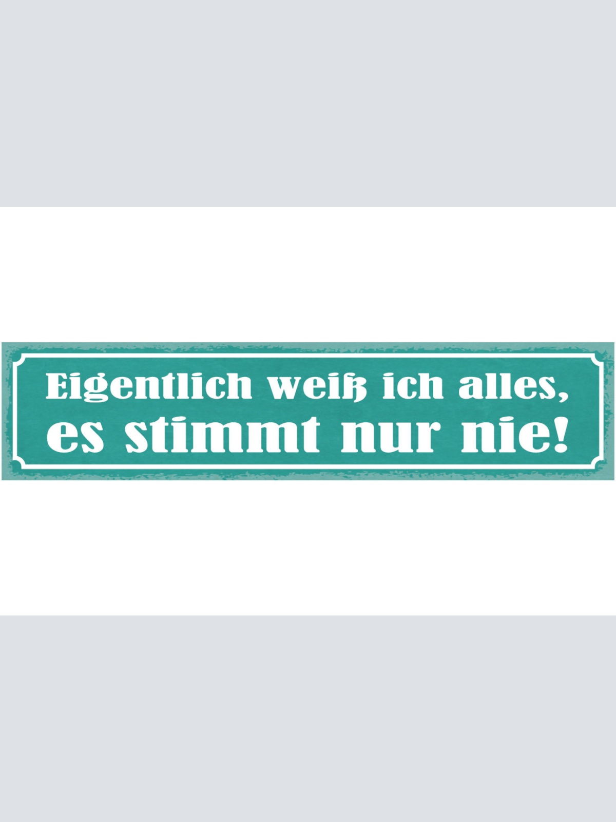 Schild Eigentlich Weiß Ich Alles Es Stimmt Nur Nie Falsch 46 x 10 Blech od. Holz