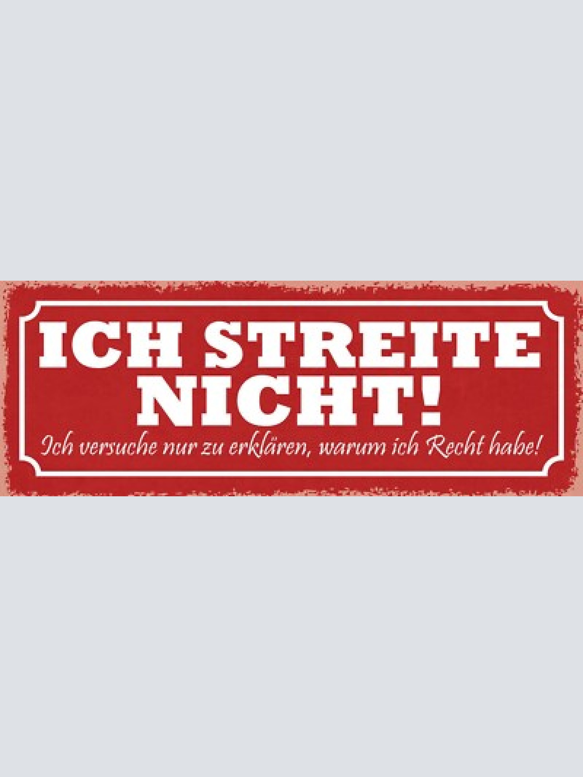 Schild ich streite nicht ich versuche nur zu erklären warum ich recht habe 27x10
