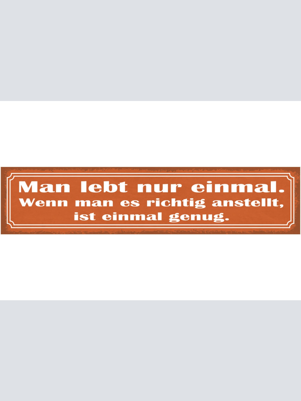Schild Man Lebt Nur Einmal Wenn Man Es Richtig Anstellt Ist Einmal Genug 46 x 10