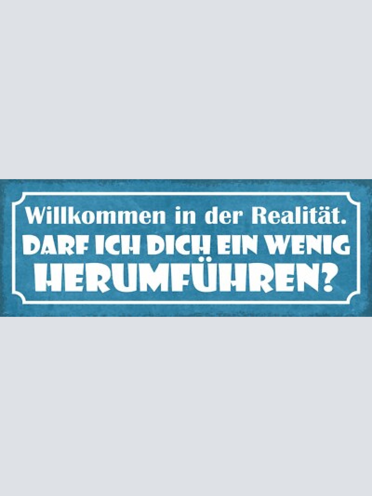 Schild willkommen in der realität darf ich dich ein wenig herumführen 27x10