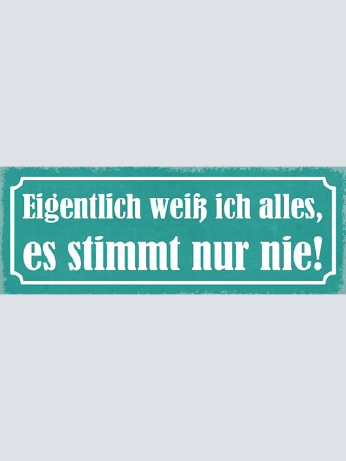 Schild eigentlich weiß ich alles es stimmt nur nie wissen 27x10 blech od.holz