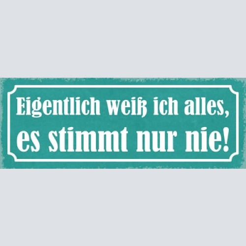 Schild eigentlich weiß ich alles es stimmt nur nie wissen 27x10 blech od.holz