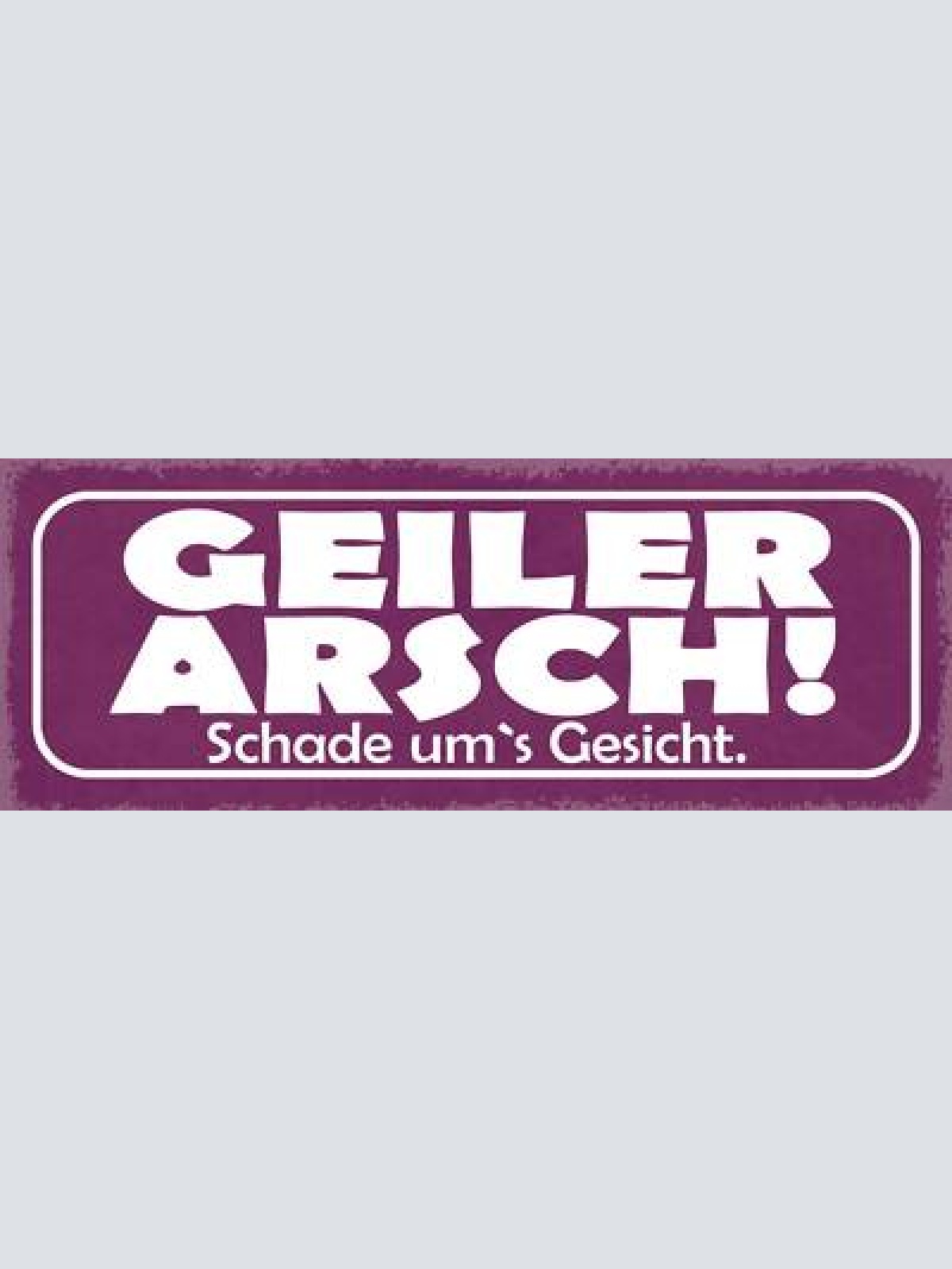 Schild geiler arsch schade um's gesicht 27x10 blech od.holz