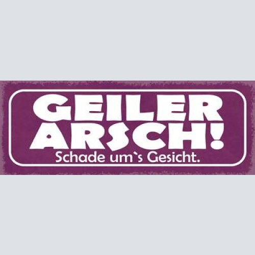 Schild geiler arsch schade um's gesicht 27x10 blech od.holz