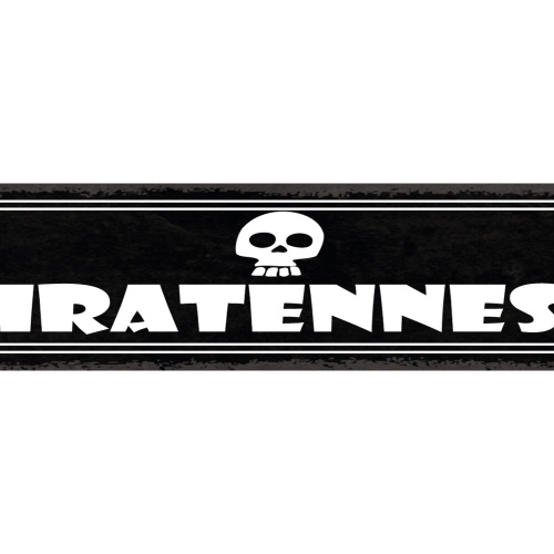 Schild Piratenest Seeräuber Pirat Zimmer Raum Schiff 46 x 10 Blech od. Holz