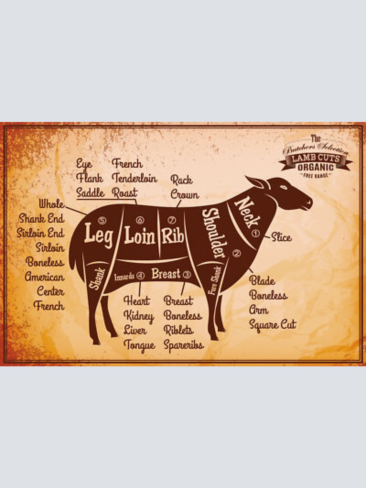 Nostalgie schild lamb cuts lamm diagramm 12x18 / 20x30 / 30x40 blech od. holz