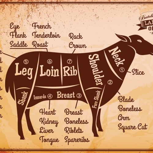 Nostalgie schild lamb cuts lamm diagramm 12x18 / 20x30 / 30x40 blech od. holz