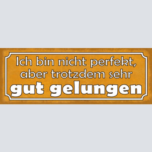 Schild ich bin nicht perfekt aber trotzdem sehr gut gelungen 27x10 blech od.holz