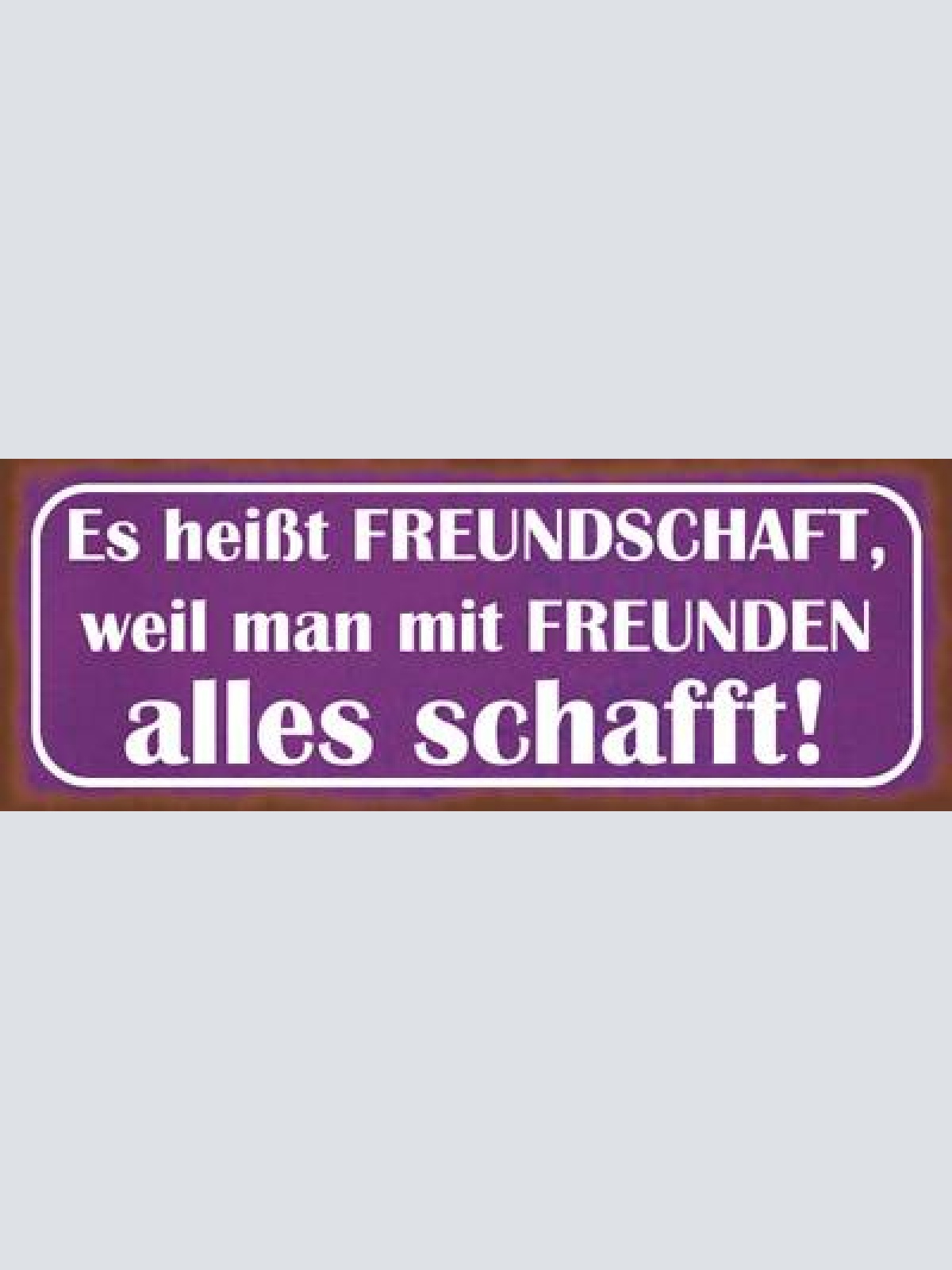 Schild es heißt freundschaft weil man mit freunden alles schafft leben 27x10