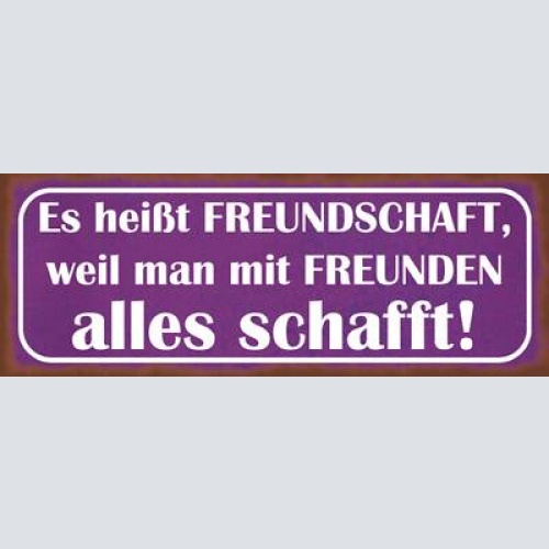 Schild es heißt freundschaft weil man mit freunden alles schafft leben 27x10