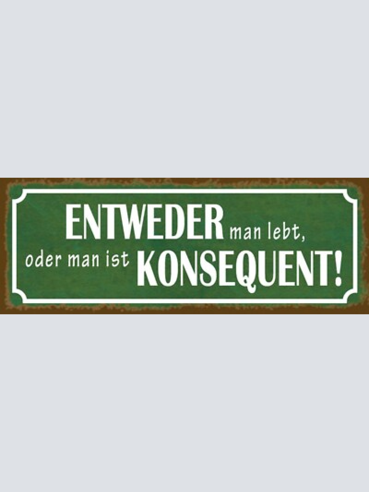 Schild entweder man lebt oder man ist konsequent leben 27x10 blech od.holz