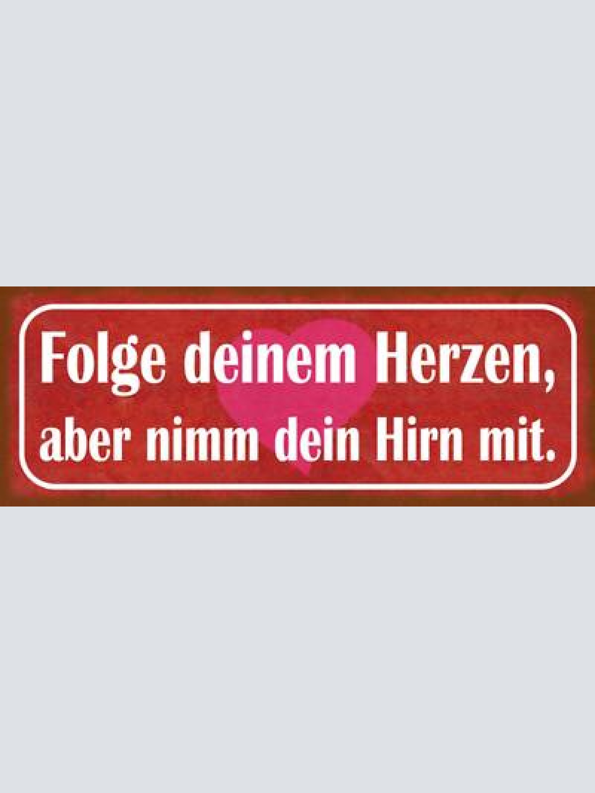 Schild folge deinem herzen aber nimm dein hirn mit denken 27x10 blech od.holz