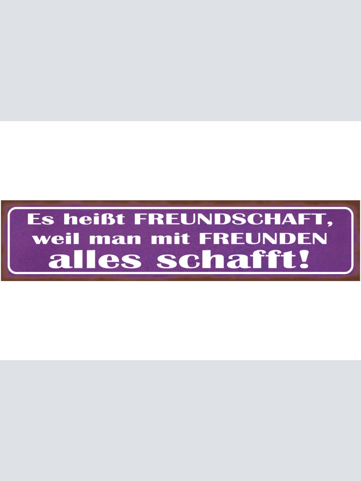 Schild Freundschaft Freunde Alles Schaffen Erreichen 46 x 10 Blech od. Holz