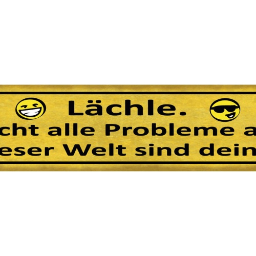 Schild Lächle Nicht Alle Probleme dieser Welt sind Deine 46 x 10 Blech od. Holz