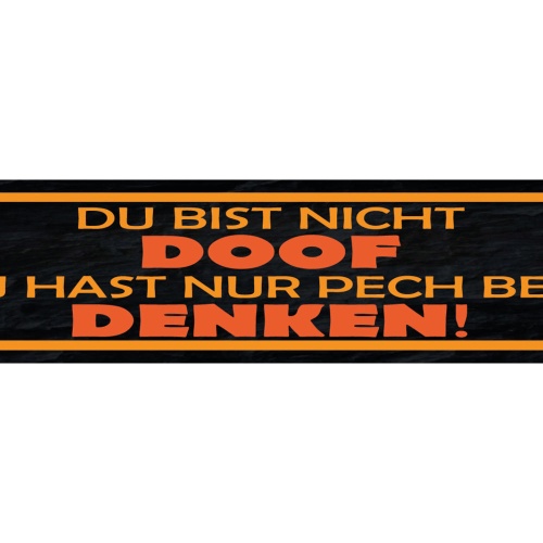 Schild Du Bist Nicht Doof Nur Pech Beim Denken Dumm Blöd 46 x 10 Blech od. Holz