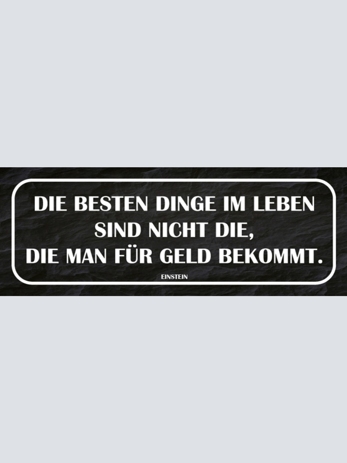 Schild Die Besten Dinge Im Leben Sind Nicht Die Man Für Geld Bekommt Einstein