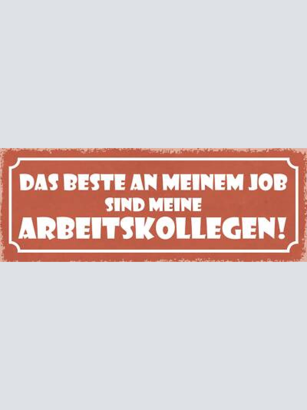 Schild das beste an meinem job sind meine arbeitskollegen 27x10 blech od.holz