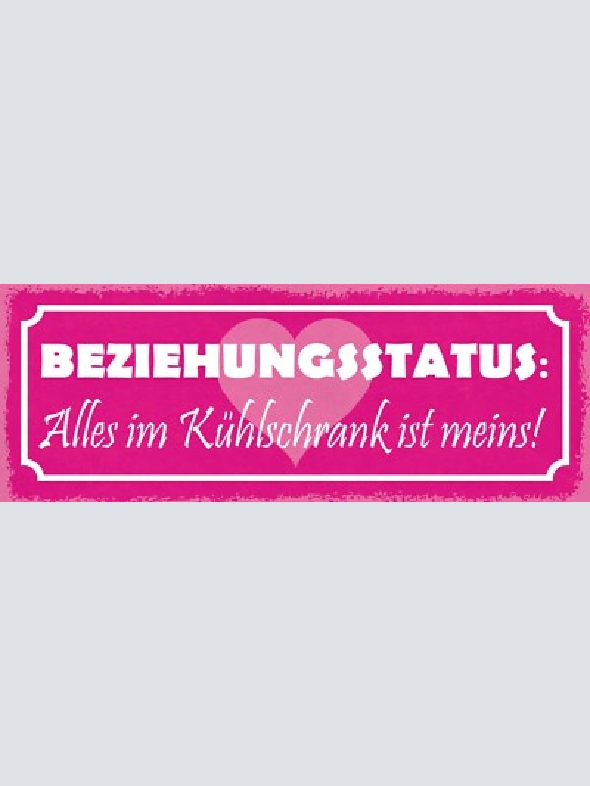 Schild beziehungsstatus alles im kühlschrank ist meins essen 27x10 blech od.holz